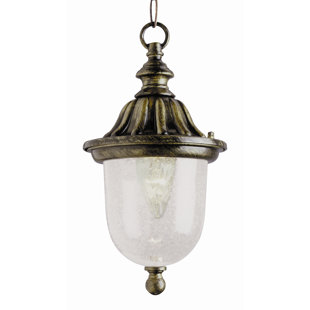 Best Luna 1-Light Outdoor Pendant By Fleur De Lis Living Outdoor Lighting Luna 1-Light Outdoor Pendant By Fleur De Lis Living Outdoor Lighting