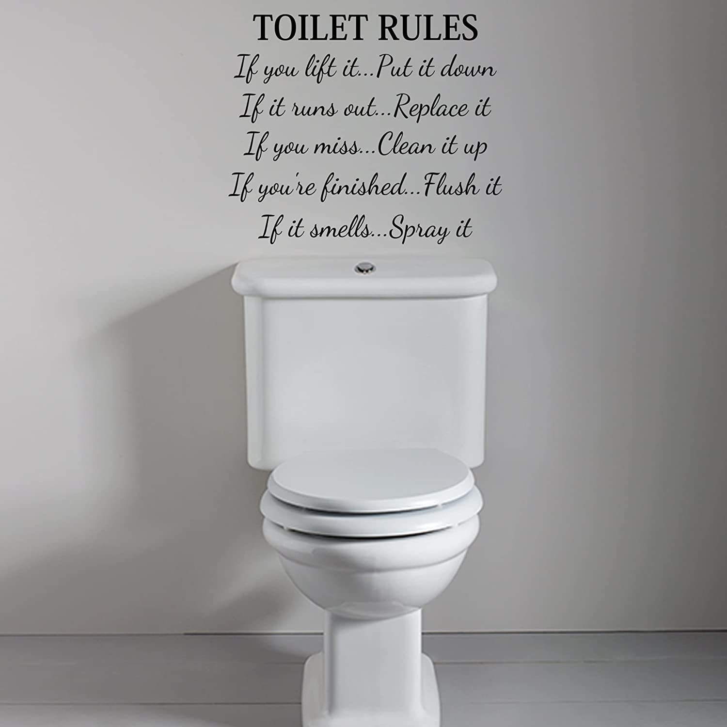 VWAQ Toilet Rules Wall Decal Wayfair