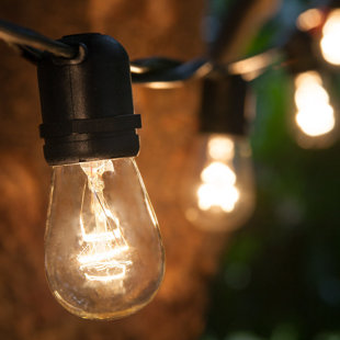 Best 24-Light Globe String Lights By Wintergreen Lighting Outdoor Lighting 24-Light Globe String Lights By Wintergreen Lighting Outdoor Lighting