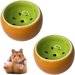 Bird Parrot Food Feeders Acrylic No Mess Hamster Hedgehog Rat Gerbil Feeders 