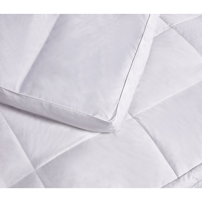 Blue Ridge Home Fashion 233 Thread Count Down Pillow Top