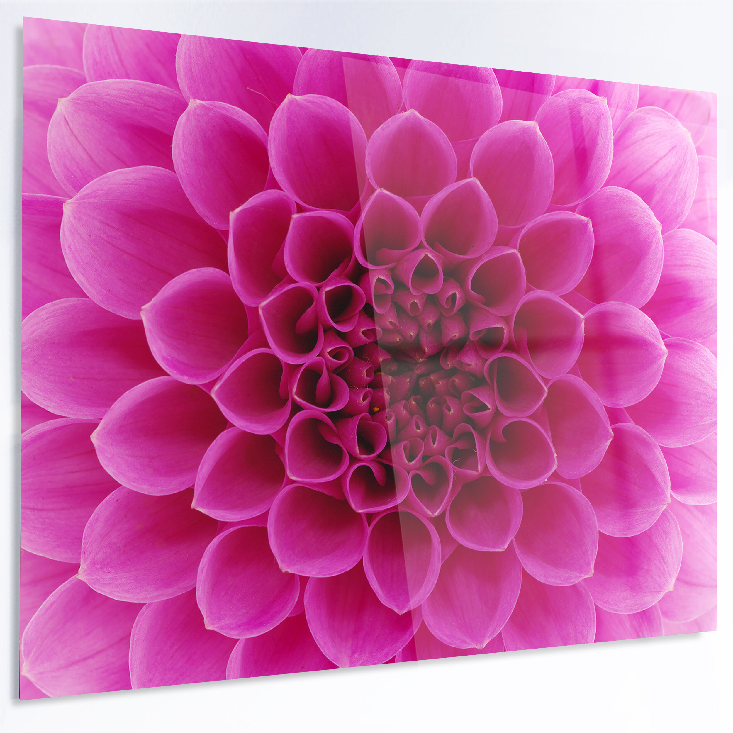 DesignArt 'Dark Pink Abstract Flower Petals' Photographic Print on ...