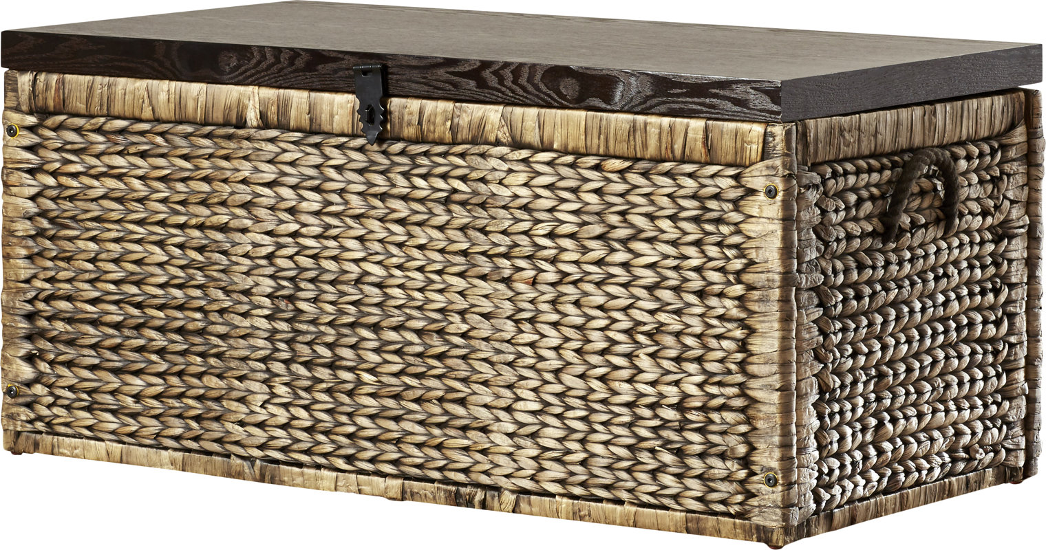 shop 769 decorative trunks | wayfair shop 769 decorative trunks | wayfair
