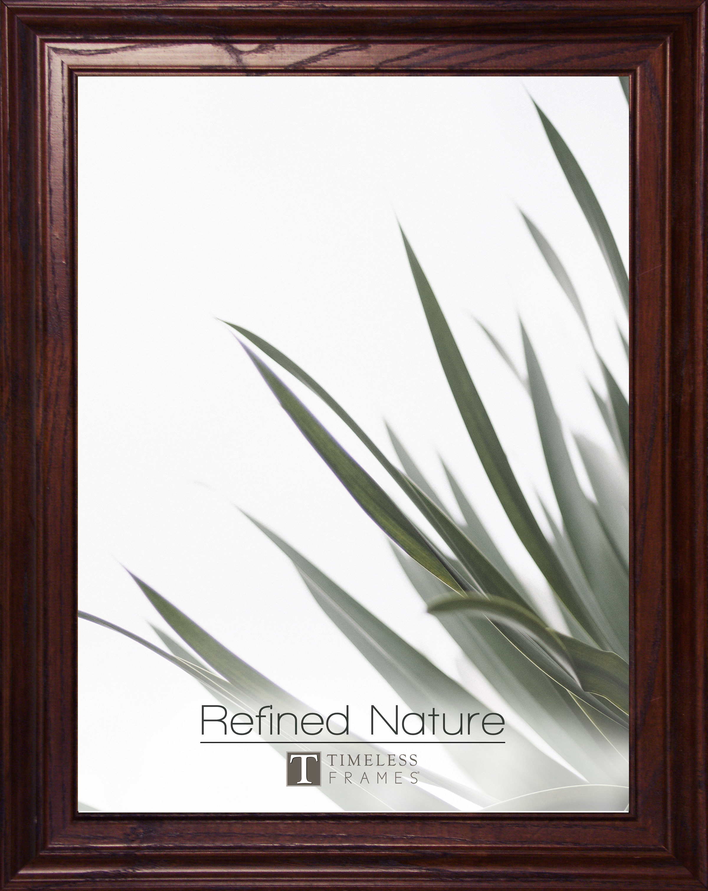 Timeless Frames Wood Picture Frame | Wayfair