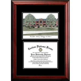 Diploma Frame Deals Furman University Executive Picture Frame Wayfair