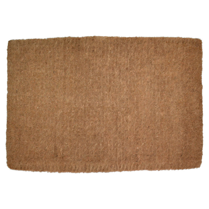 Red Barrel Studio Windermere Plain Mat Coir 36 In X 24 In Non