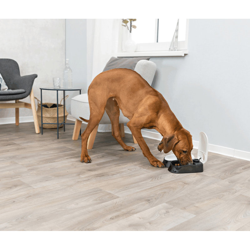 Trixie Tx2 Automatic Food Dispenser Dual Compartments Dual Timer