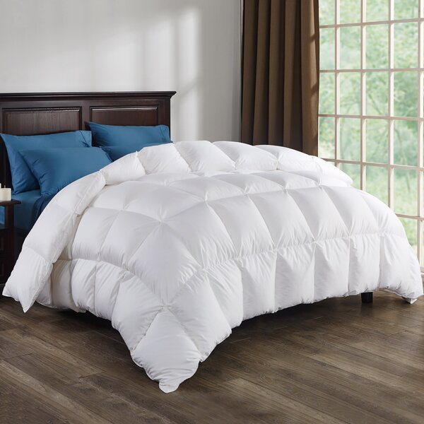 Alwyn Home Winter Down Comforter Reviews Wayfair