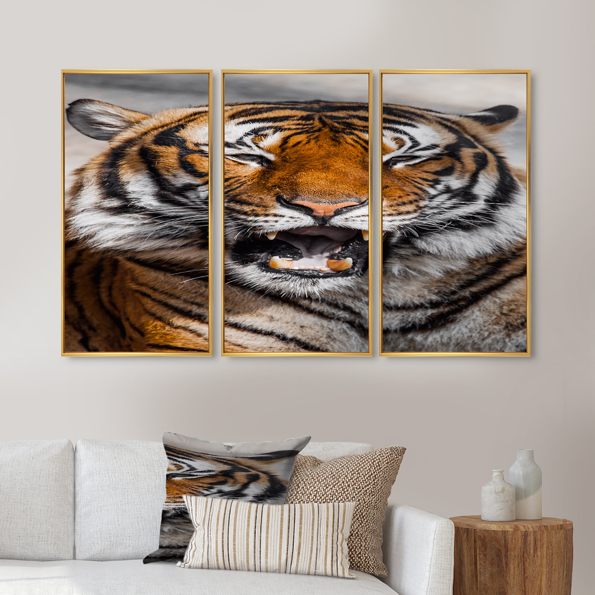 Dakota Fields Portrait Of A Tigers Face I - 3 Piece Floater Frame ...