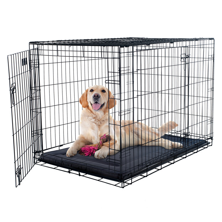 large pet crate dimensions