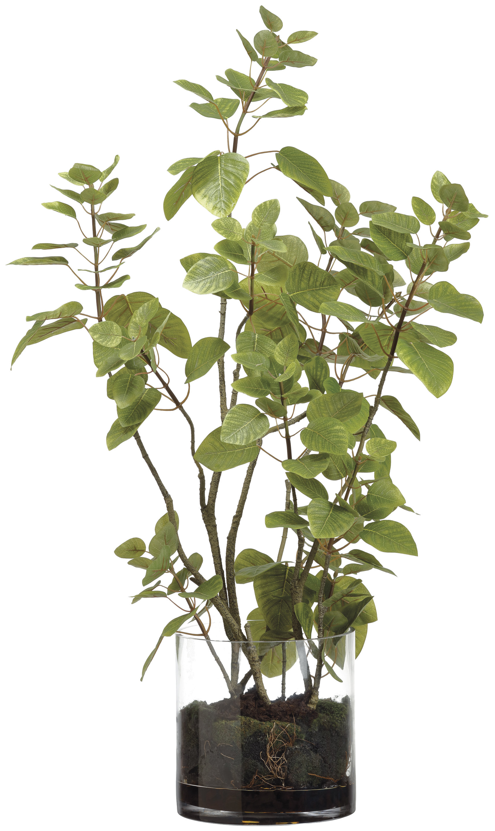 Ophelia & Co. Faux Foliage Plant in Glass Vase Wayfair