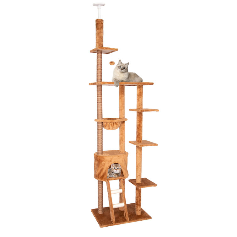 multi level cat climber