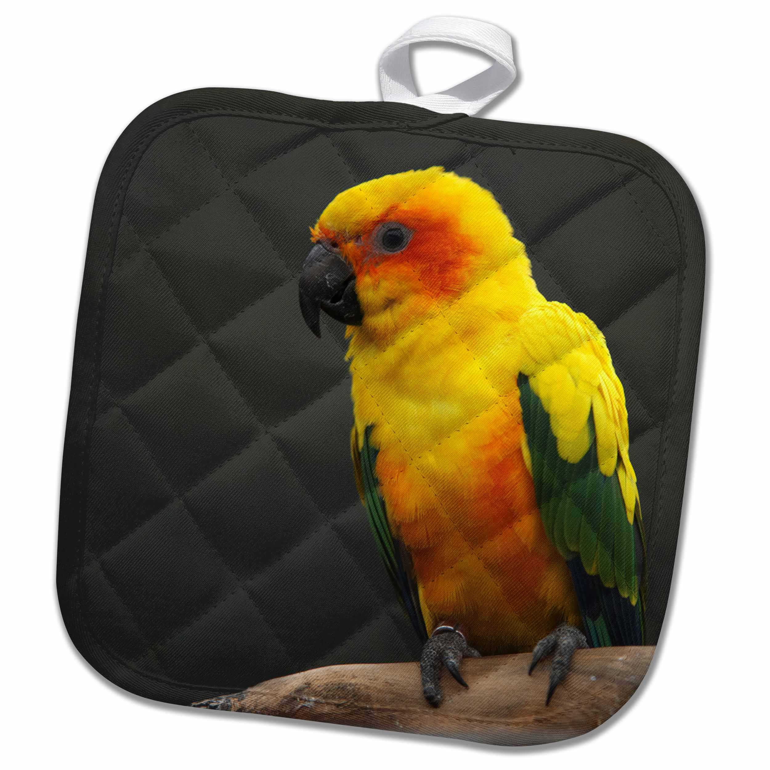 3drose Sun Parakeet In Aviary Timaru South Canterbury New Zealand Potholder Wayfair