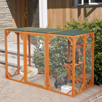 cat run cage