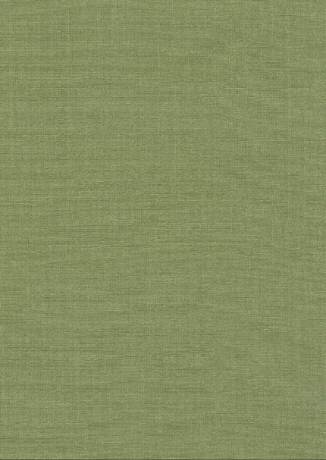 Homlpope Wallpaper Wayfair