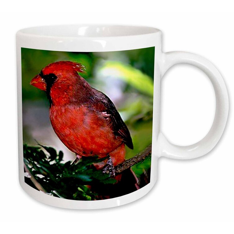 cardinal spirits songbird coffee
