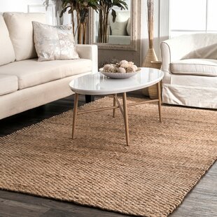 Farmhouse Rustic Thick Pile Area Rugs Birch Lane