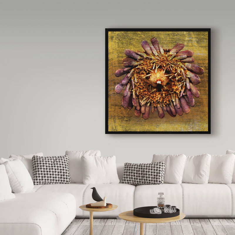 Trademark Art Sea Urchin Gold Graphic Art Print On Wrapped