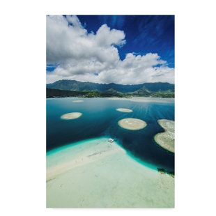 Tall Vertical Wall Art Wayfair Sandbar Vertical Graphic Art Print On Wred Canvas