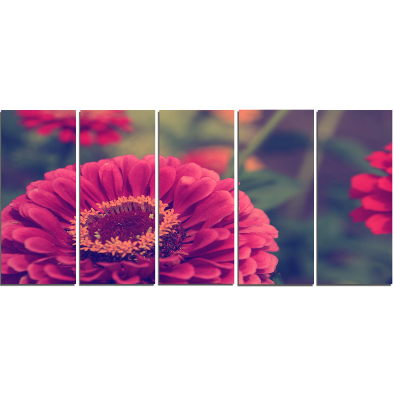 Designart Vintage Photo Of Cute Red Flowers 5 Piece Graphic Art On Wrapped Canvas Set Wayfair