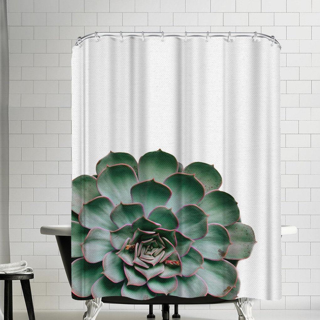 East Urban Home Nauda Succulent Plant Shower Curtain Wayfair