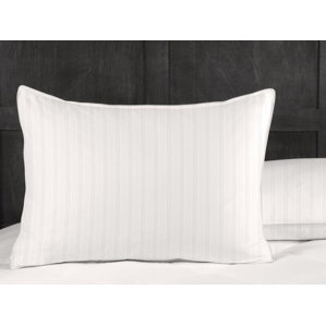 Down and Feathers Queen Pillow by Blue..