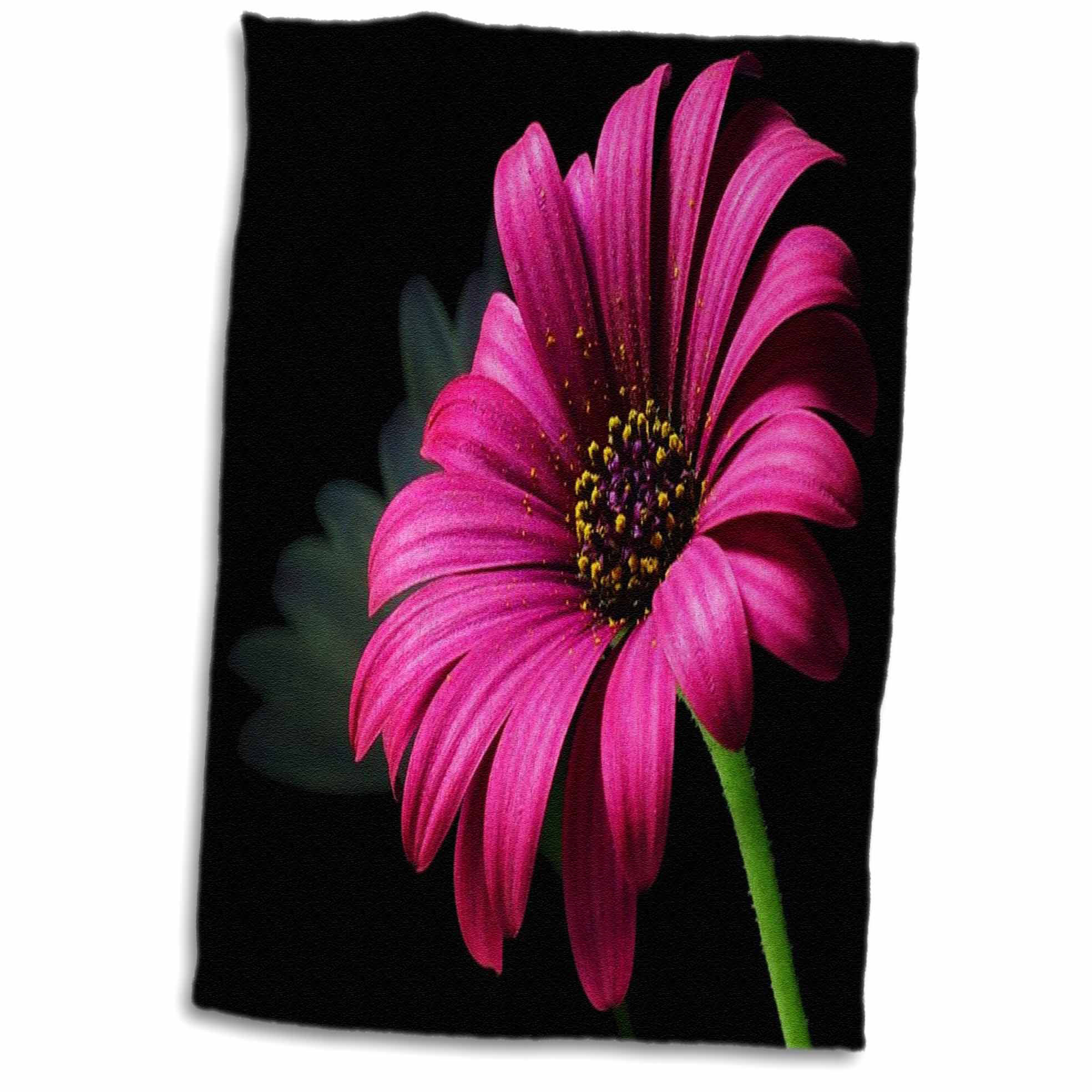 Symple Stuff Hartt Hot Daisy Hand Towel