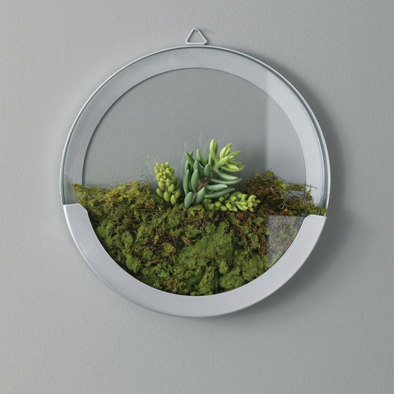 Wrought Studio Metal And Glass Terrarium Wall Decor Wayfair