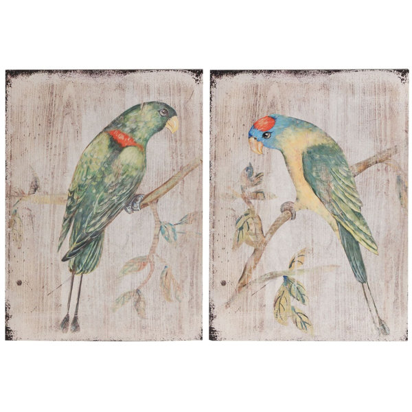 Bay Isle Home 2 Piece Parrot Wall Décor Set Reviews Wayfair