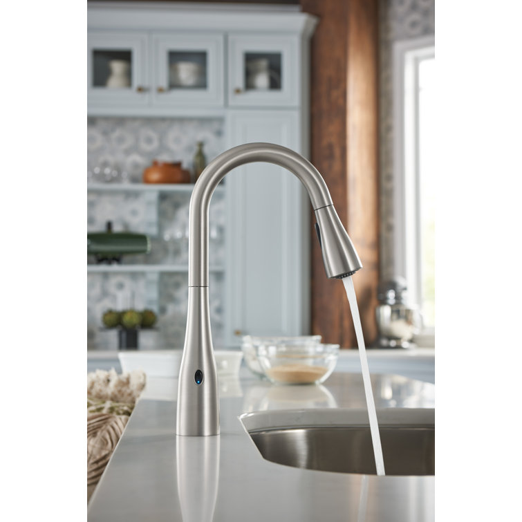 Arbor Pull Down Touchless Single Handle Kitchen Faucet with Motion Sense  and Power Clean Technologies