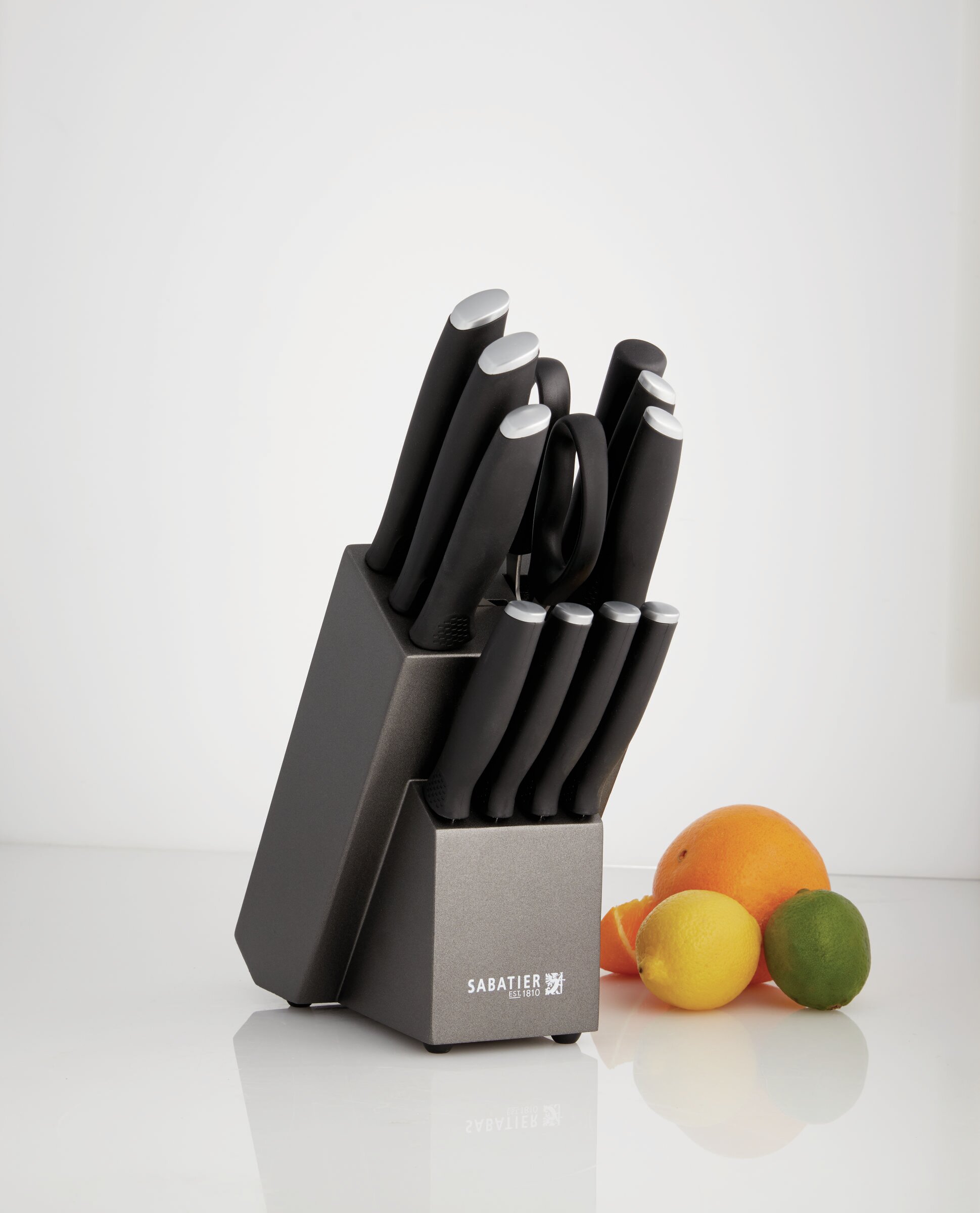 Sabatier 12 Piece Knife Block Set | Wayfair