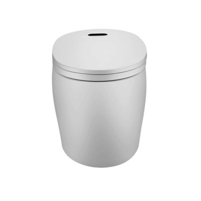 128 GPF Elongated Bidet Toilet Jade Bath