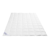 Bettdecken 155x200 Cm Zum Verlieben Wayfair De