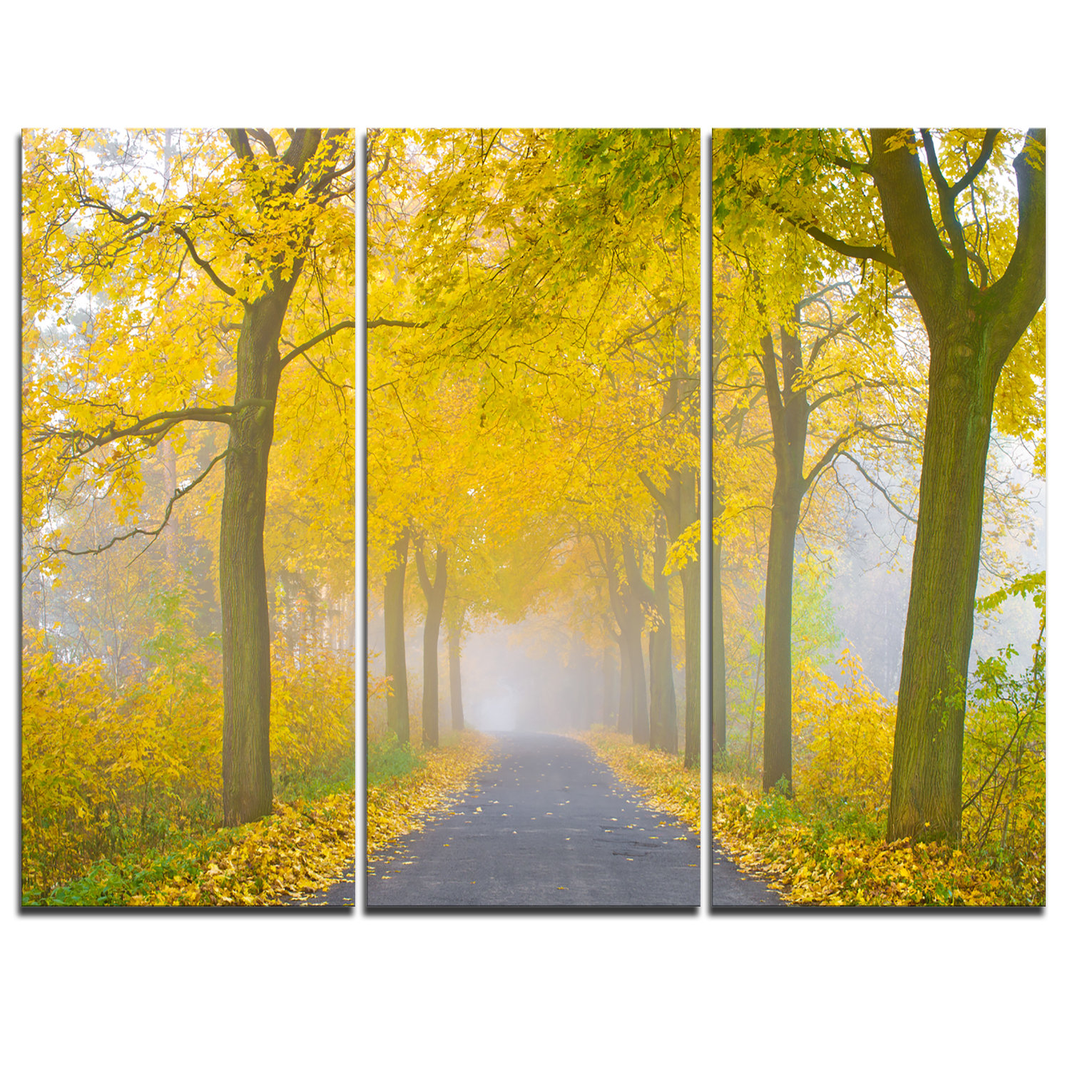 Designart Misty Road In Yellow Autumn Forest 3 Piece Graphic Art On Wrapped Canvas Set Wayfair