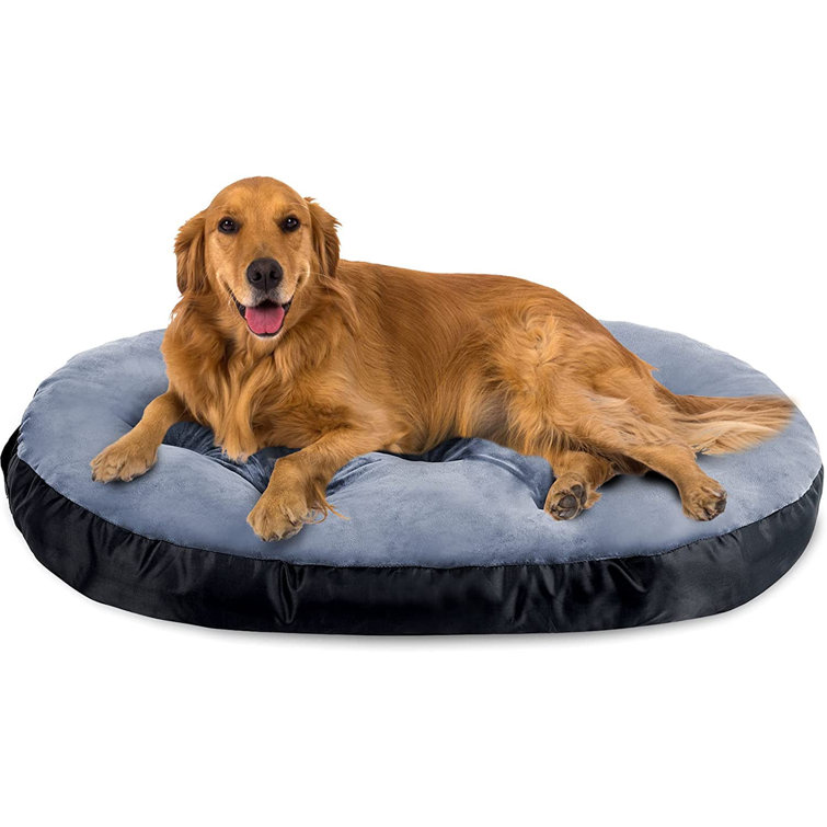 extra large soft dog bed
