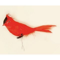 Red Cardinal Decor Wayfair