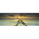 Yellow 3 Panel Photo Photography You Ll Love In 2020 Wayfair