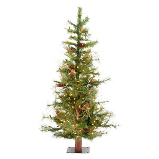 Solar Outdoor Christmas Tree Wayfair Ashland Fir 6 Green Artificial Christmas Tree With 450 Clear Lights Stand