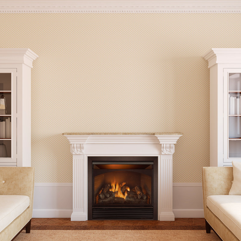 Duluth Forge Full Size Natural Gas Fireplace Insert Reviews