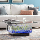 Fish Tanks Aquariums You Ll Love In 2019 Wayfair Ca