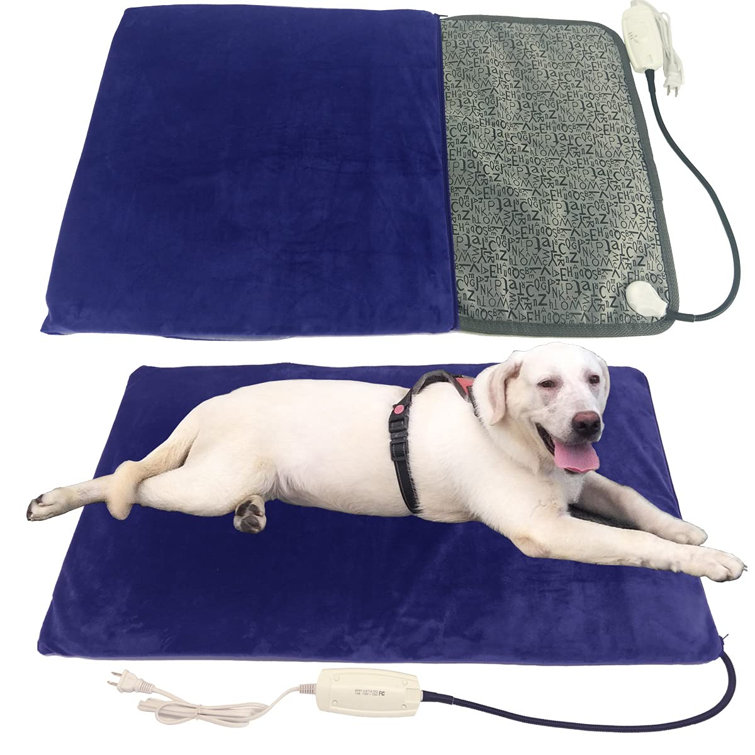 electric dog bed