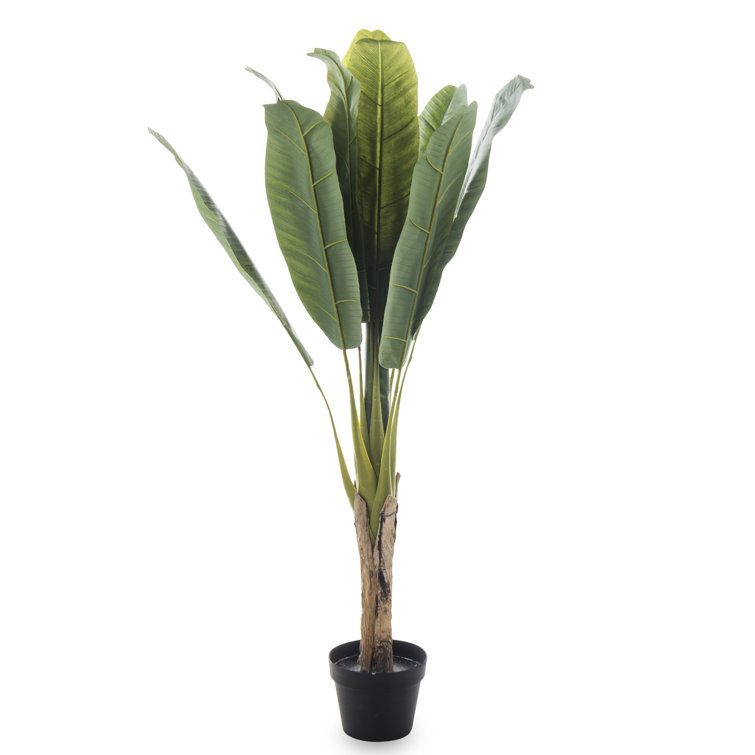 The Seasonal Aisle 125Cm Artificial Banana Leaf Tree in Pot | Wayfair.co.uk