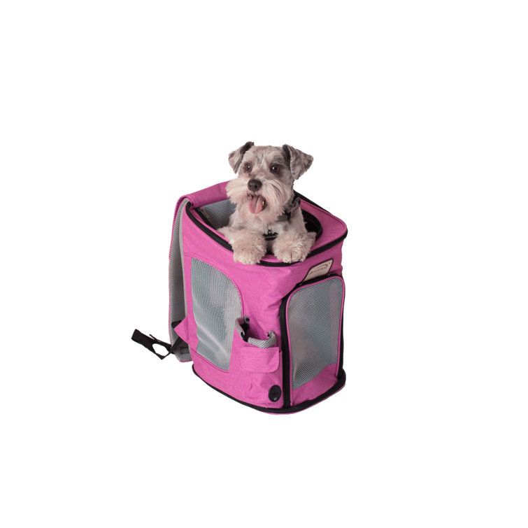 zuca pet carrier