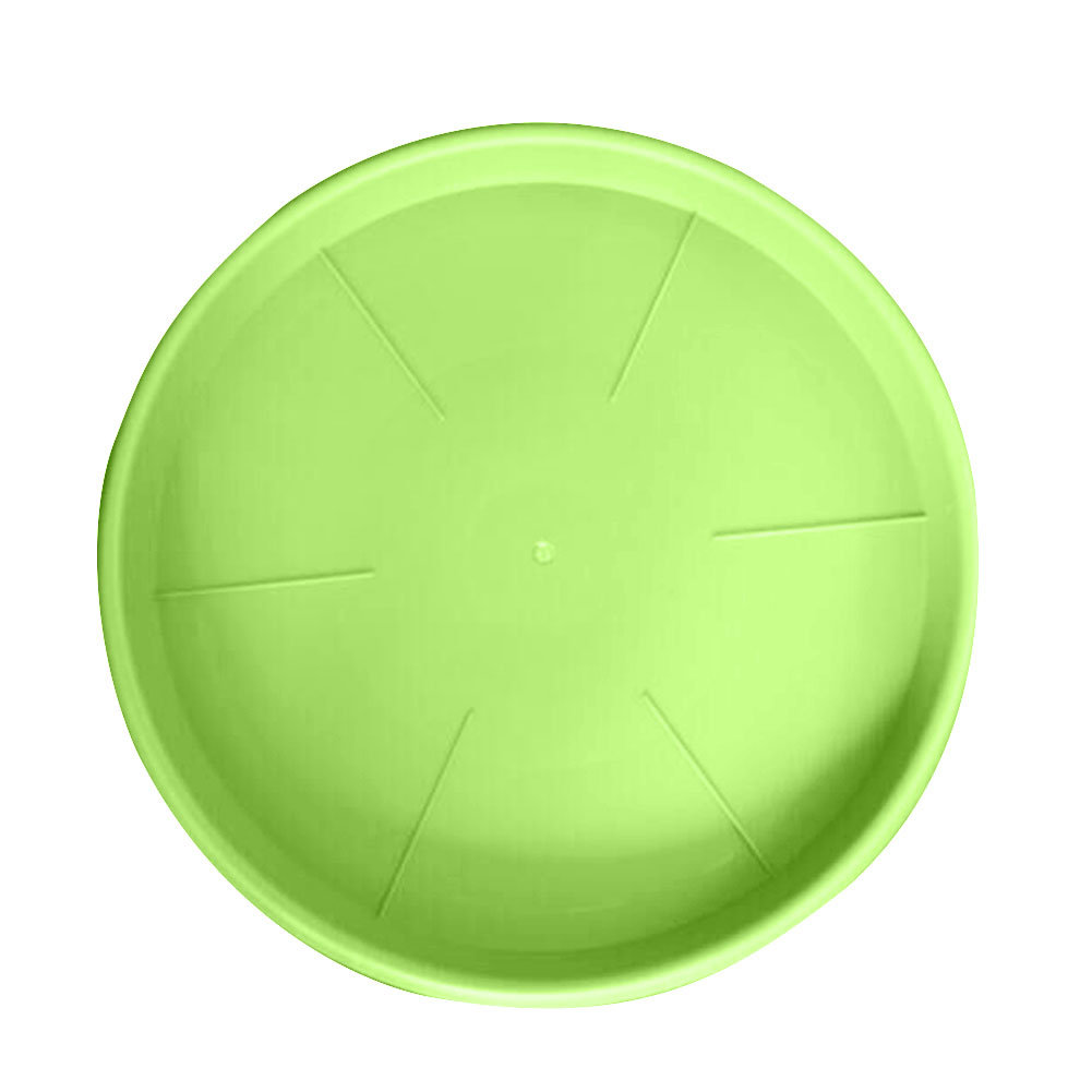 Ebern Designs Jemine Plant Base Caddy Wayfair