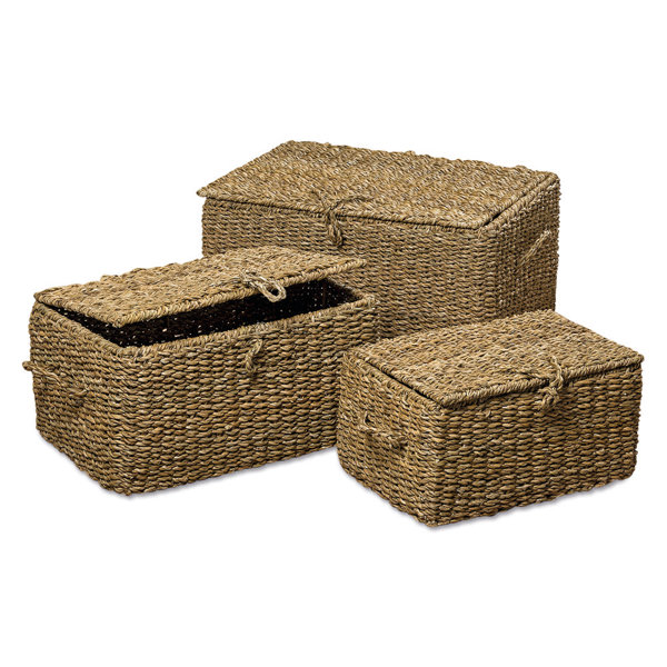 Seagrass Trunk Wayfair