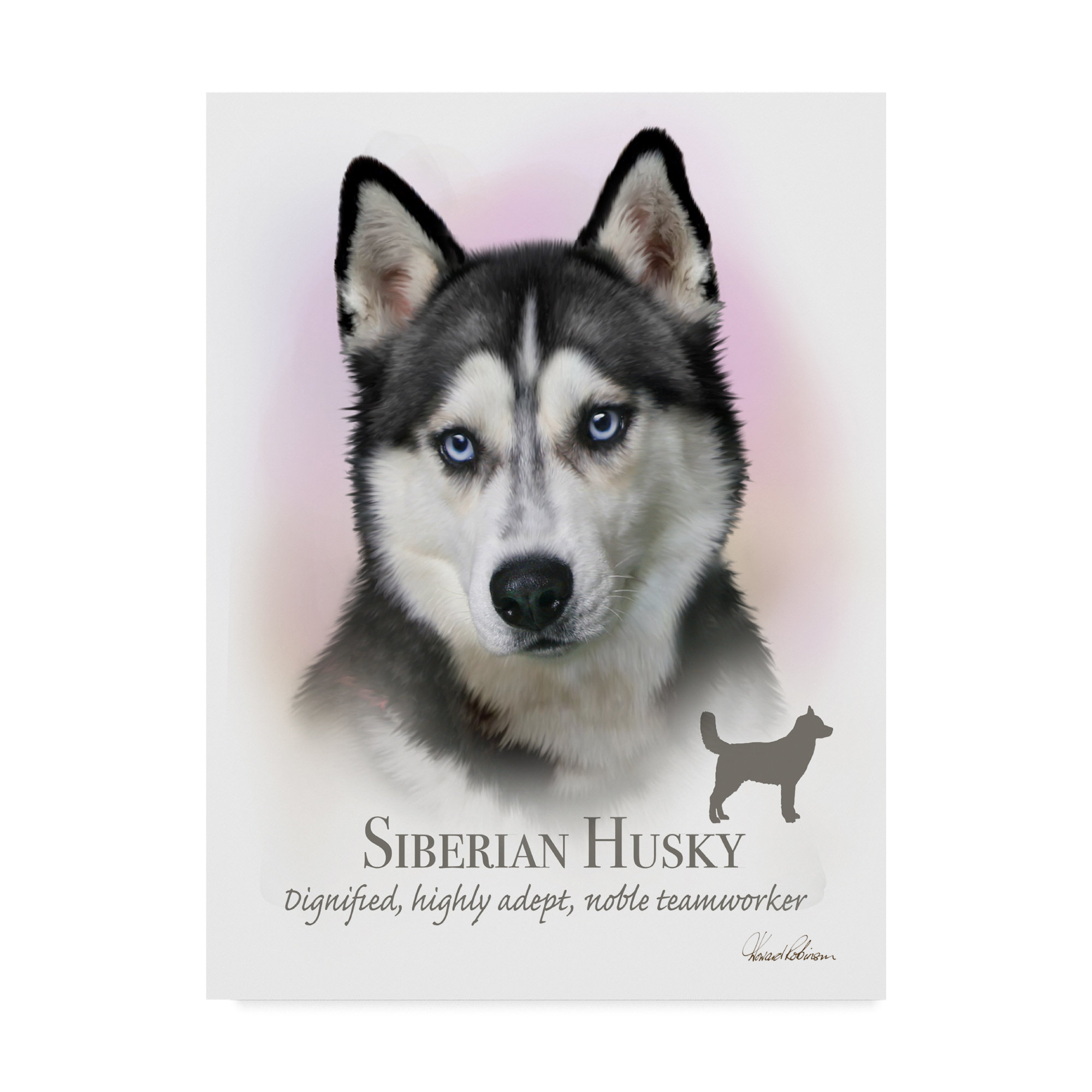 siberian husky art