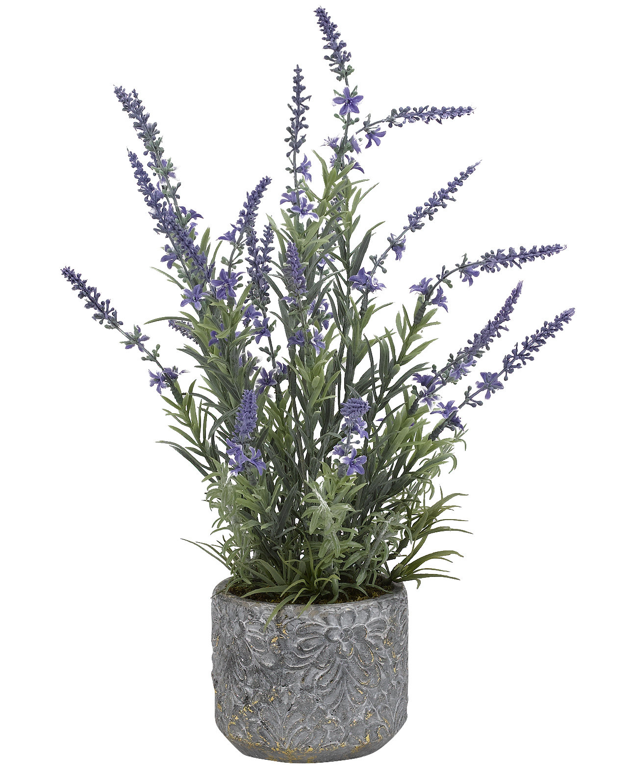 wayfair balcony planters on Ophelia Co Lavender And Rosemary Floral Arrangements And Centerpieces In Cement Planter Wayfair