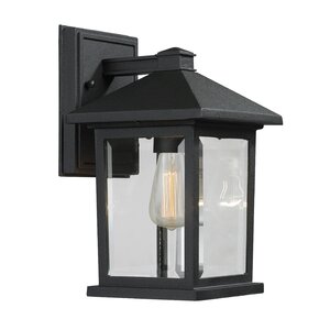 Leroy 1-Light Outdoor Wall Lantern