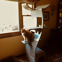 69 cleopatra cat tree