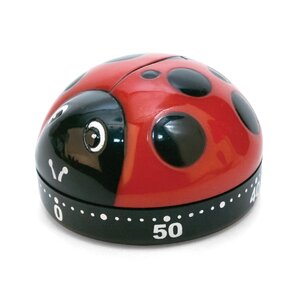 Ladybug Timer